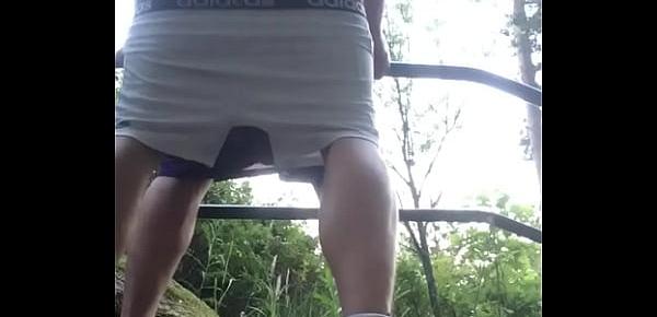  Breeding ass outdoor